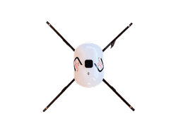 Drone Camera Icon